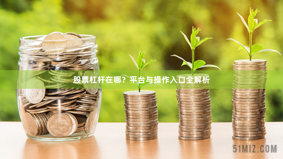 股票杠杆在哪？平台与操作入口全解析